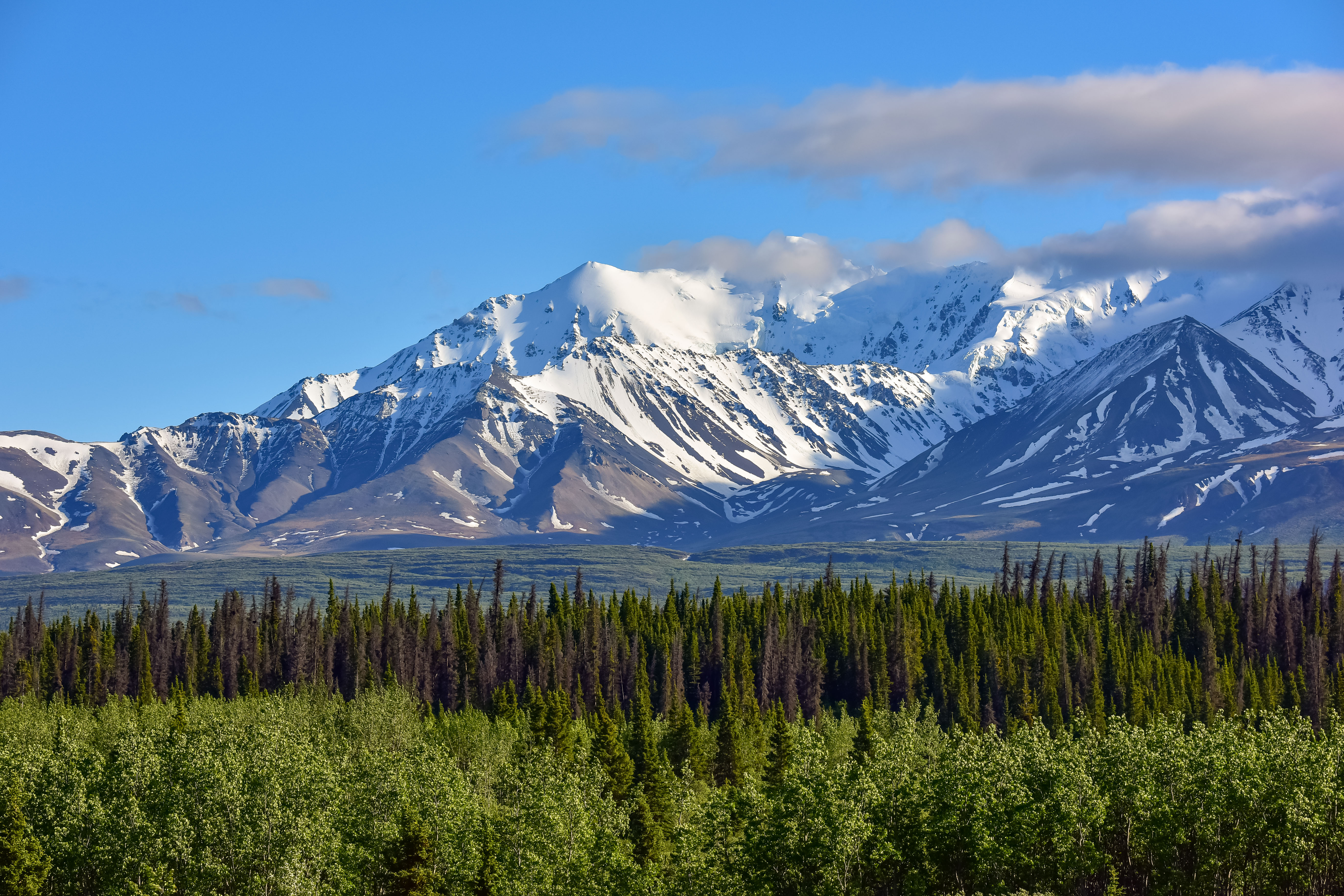 Yukon mountains