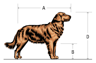 Kennel Guide