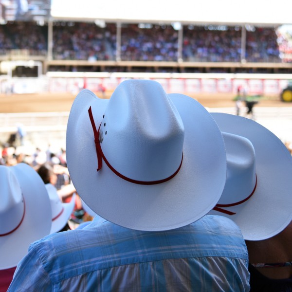 Scenery - Calgary Stampede