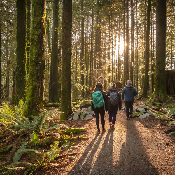 Scenery - walking through stanley park