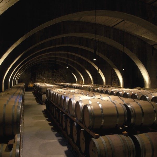 Activity - winery in Kelowna