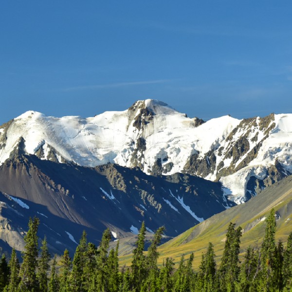 mountains in the Yukon with green trees in the foreground