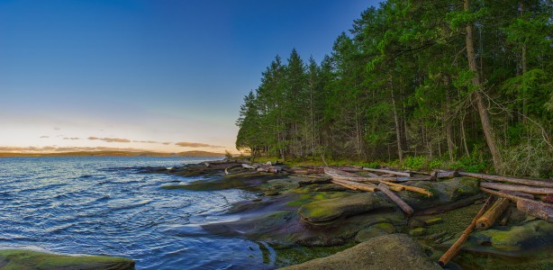 British Columbia, Canada with the ocean and trees along the shoreline