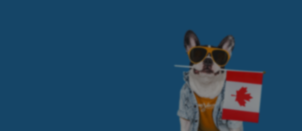 Canada Day Sale