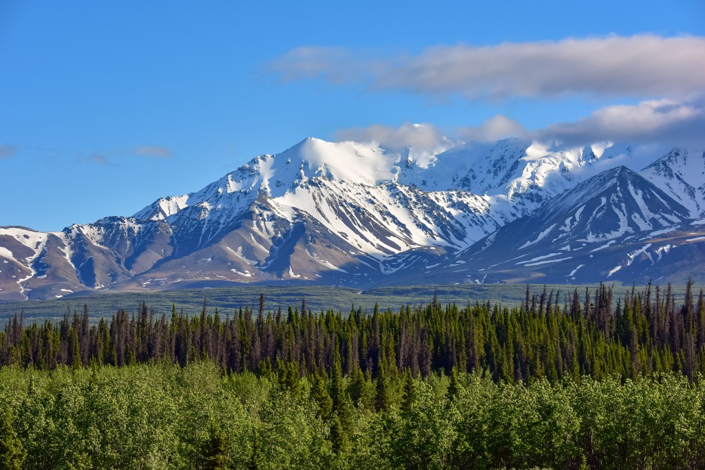 Whitehorse Mountain